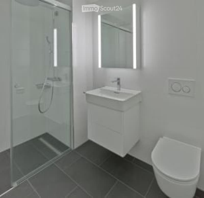 modern white bathroom, glass walk-in shower, white sink, toilet