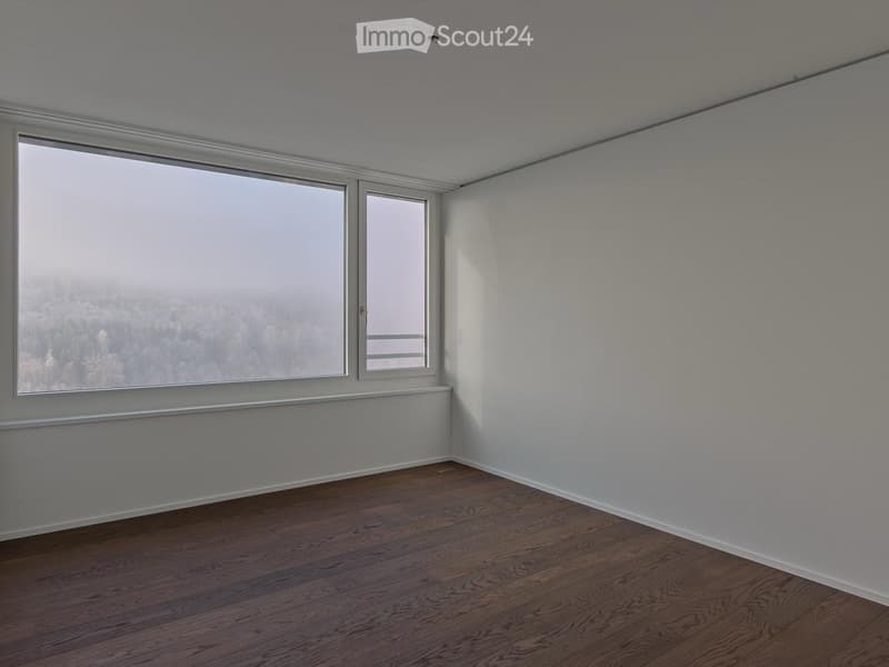 Large window with view, white walls, wooden floor