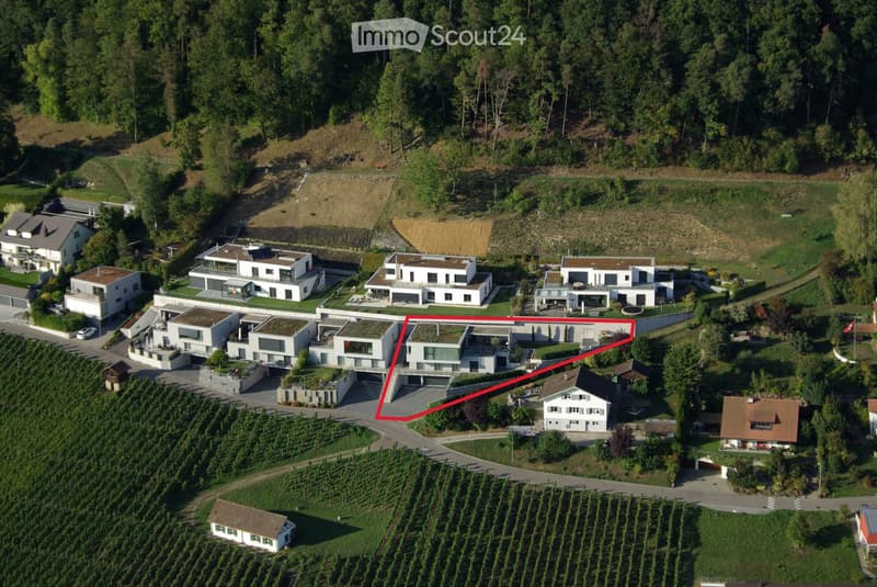 Semi-detached houses with 3 levels, green rooftop, multiple garages and parking spaces, vineyard surrounding