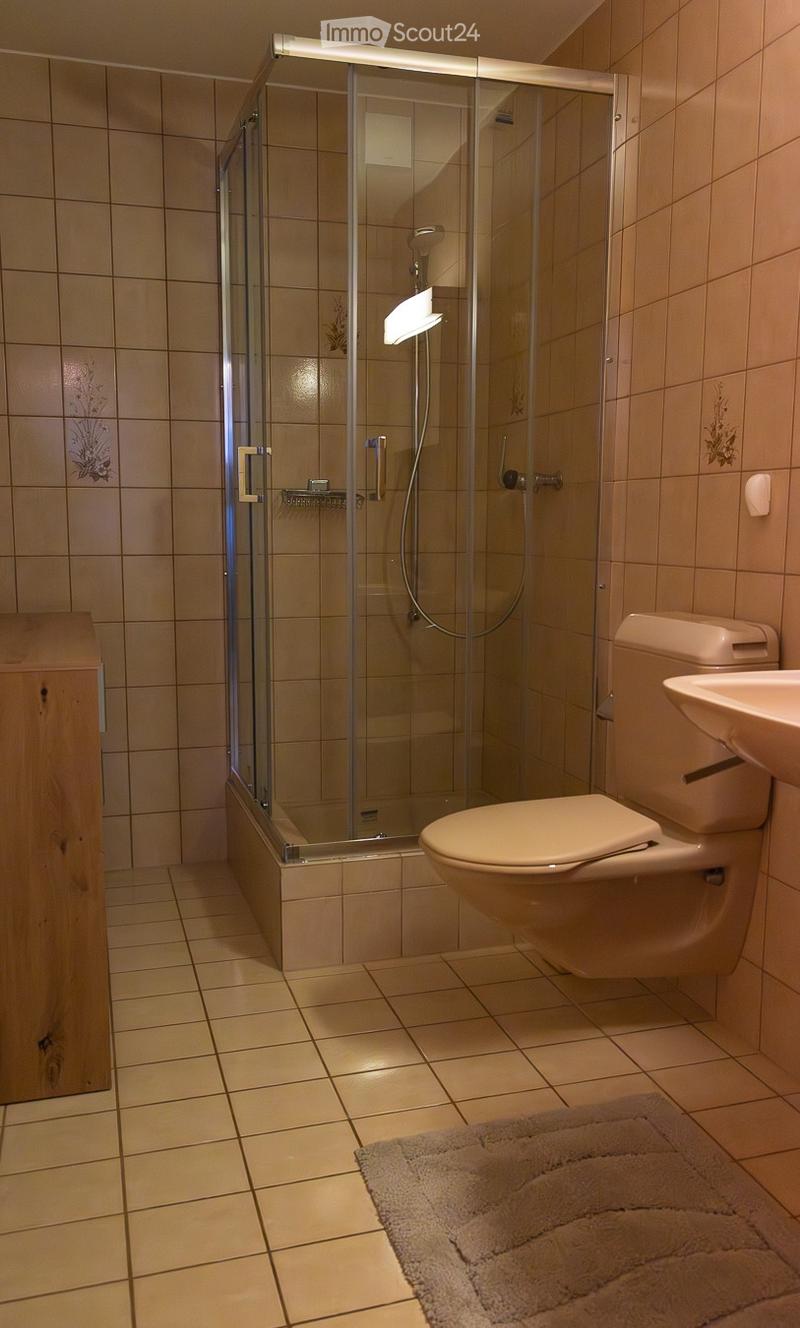 shower cubicle, toilet, sink, tile flooring, wooden cabinet