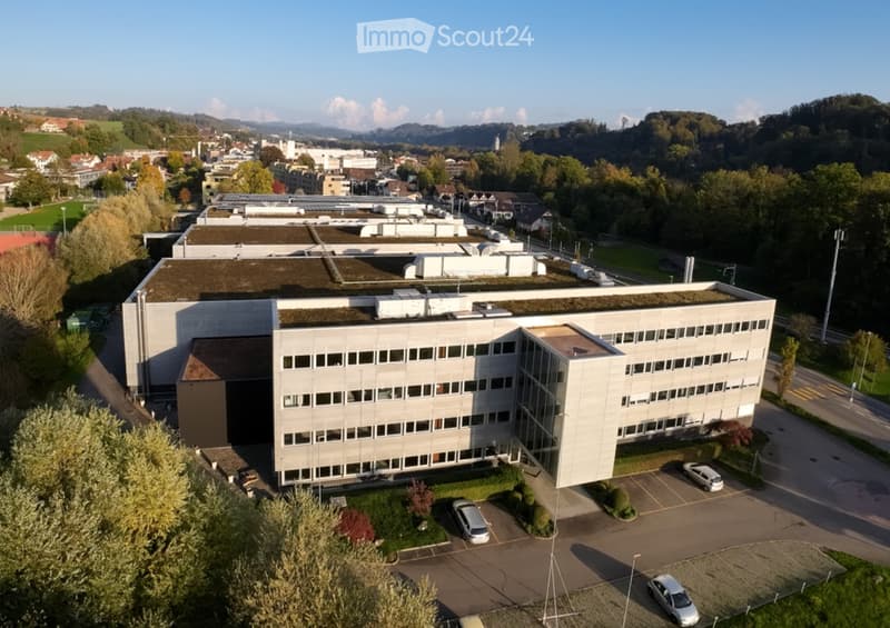large office building, white walls, multiple windows, car parking area in front