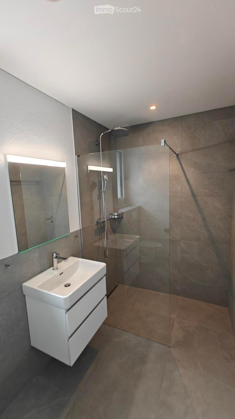 Modern bathroom with a white sink, large mirror, and glass-enclosed shower area.