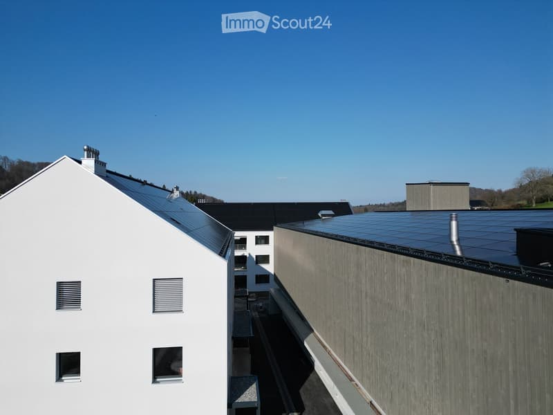 White house with solar panels on the roof, gray building with solar panels on the roof, clear blue sky, trees in the distance