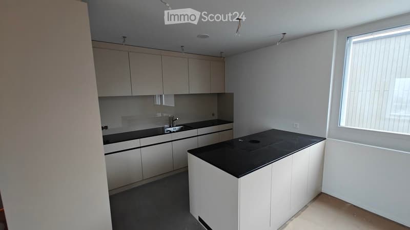 modern kitchen, white cabinets, black countertops, stainless steel sink, dishwasher