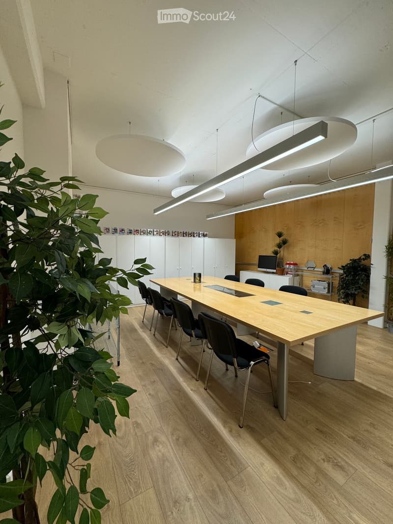 modern office room with wooden desk and chairs, suspended ceiling lights, wooden floor, two plants on side, white cabinets, wooden wall with monitor and plant