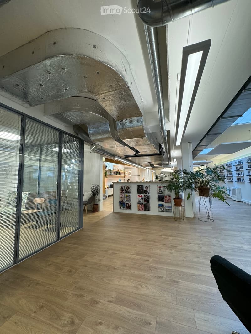 Spacious open room, modern ceiling and lights, glass walls, wooden floor, plants, seating area, photos and pictures