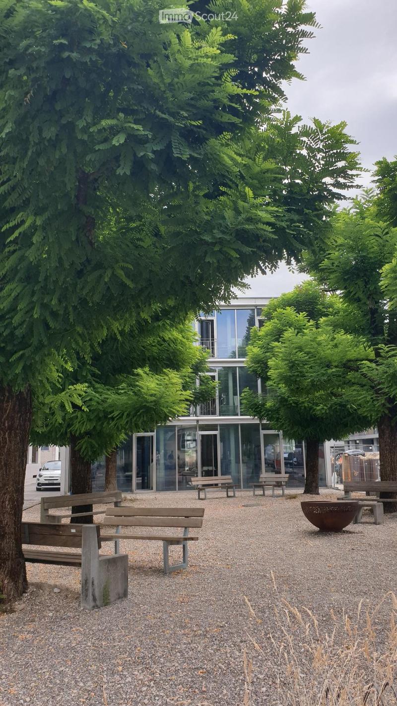 trees, benches, and a small fire pit, modern architecture building in the background