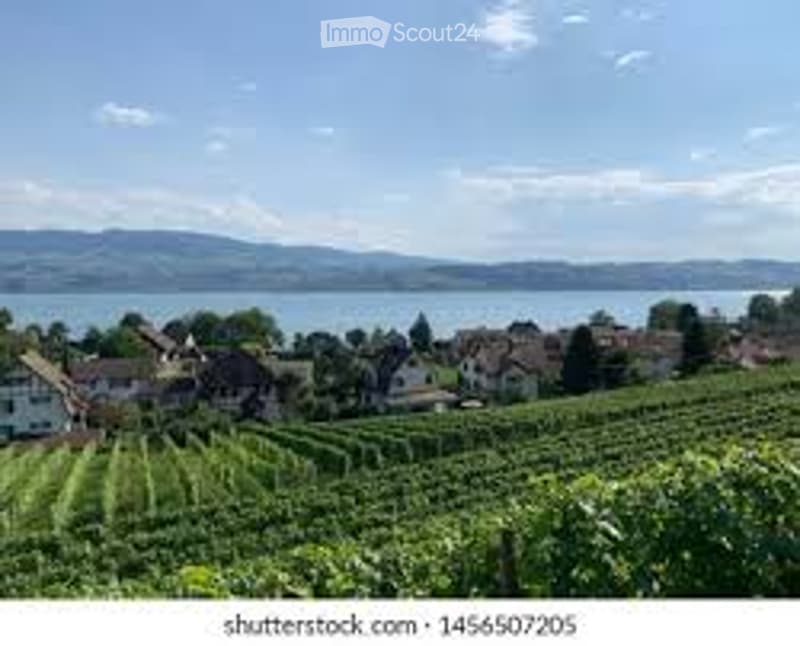 Countryside landscape with houses, vineyards, and a lake in the background
