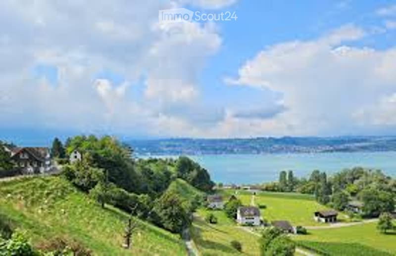 hillside overlooking a body of water and green meadows, some houses visible