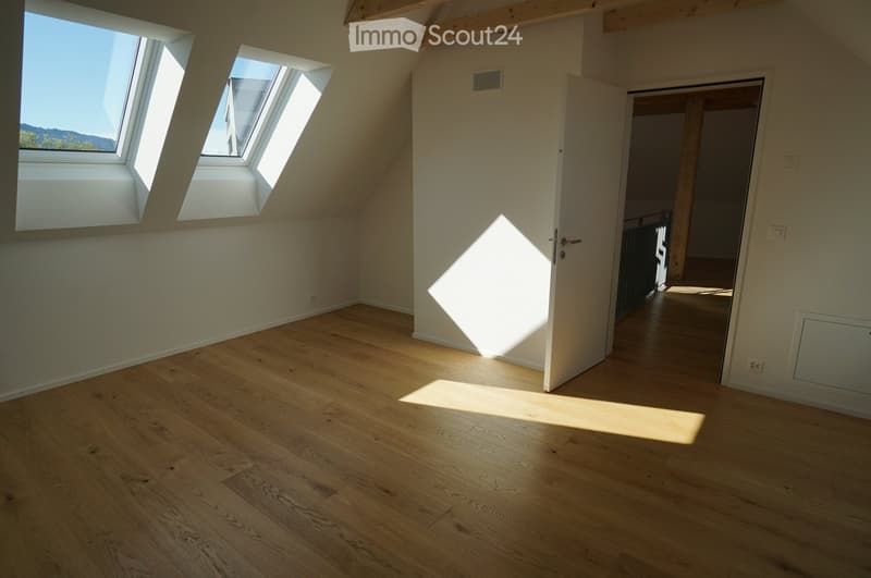 empty attic room with skylights and wooden floor