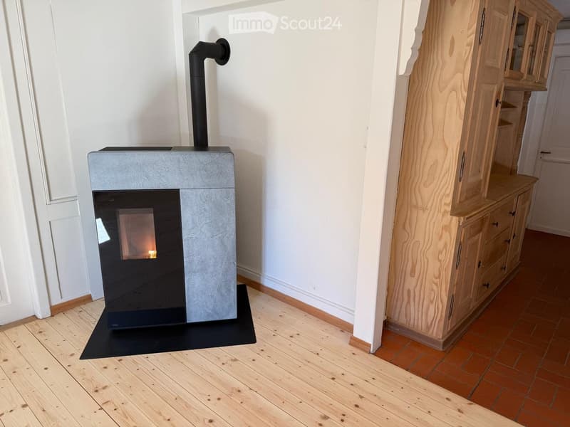 Fireplace in corner, wooden floor, modern cabinet