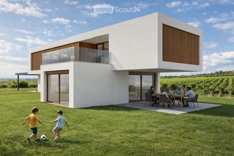 Modern white house, raised ground floor, terrace, glass doors, overlooking vineyard