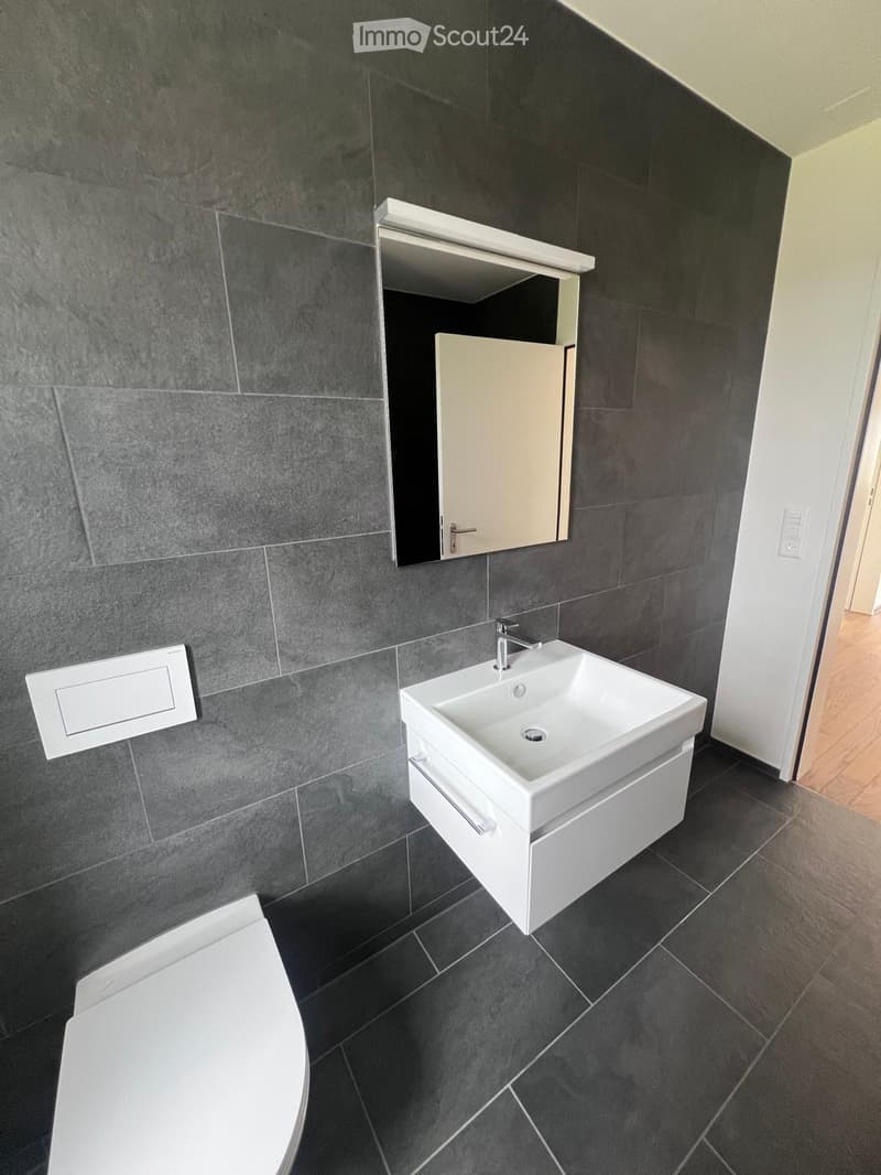 modern design, gray tiles, white sink, modern faucet, mirror with LED strip, white toilet, wooden floor