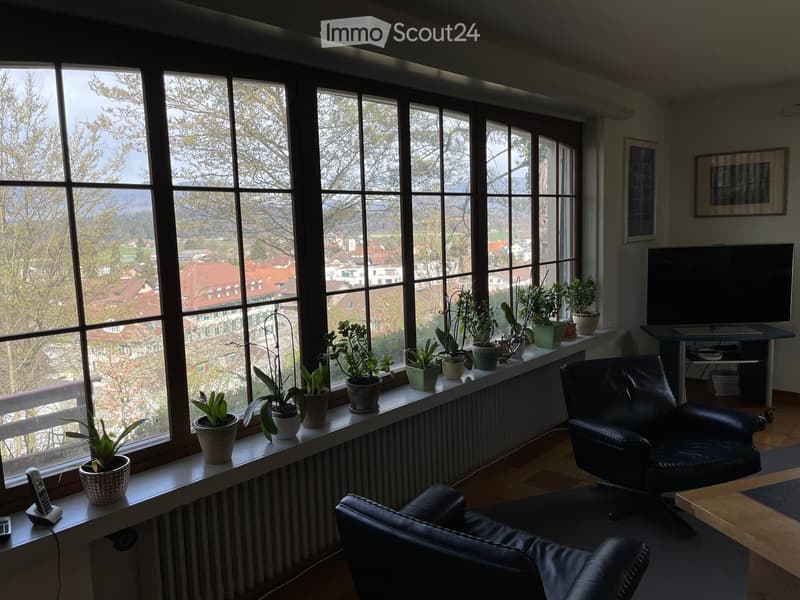 large windows, plants on the windowsill, black leather chairs, wooden table, flat screen TV