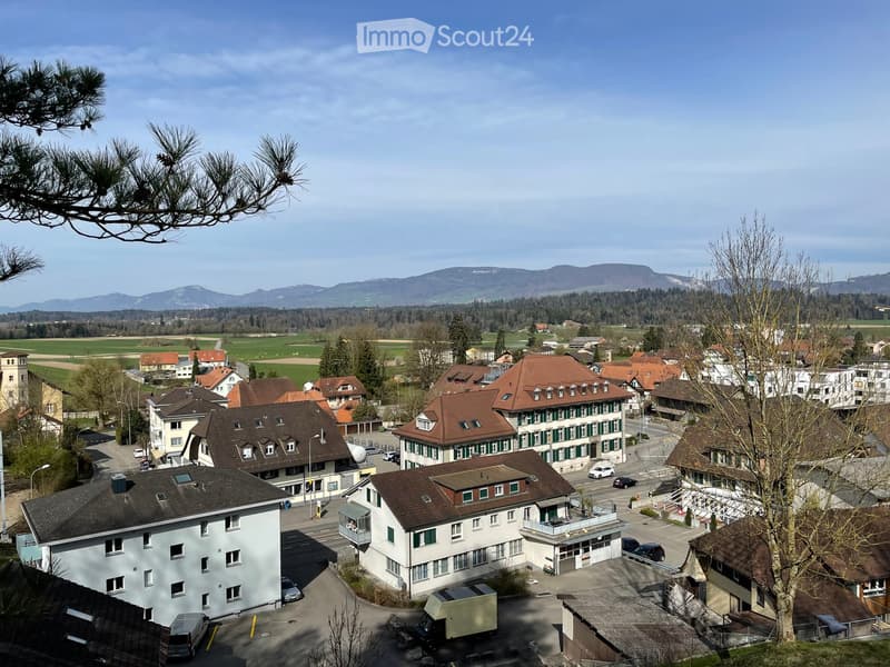 top view of a town with many houses, mountains in the background, green field, cars parked