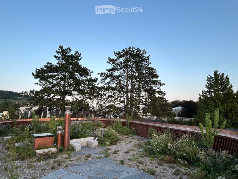Rooftop garden with brick borders, cobblestone path, two brown posts, trees, and greenery. Clear blue sky and distant view of buildings.
