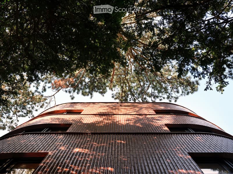 A modern building with a distinctive curved, metallic roof and visible windows, surrounded by tall trees.