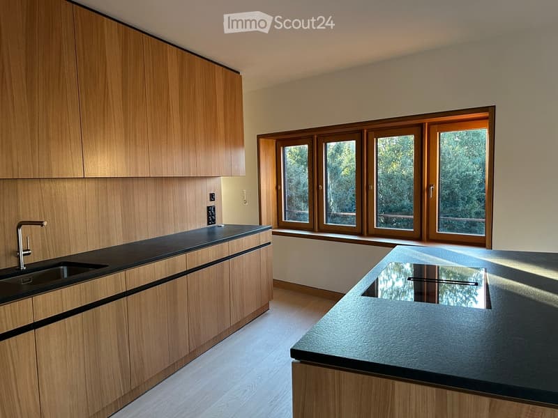 Modern kitchen with wooden cabinets, black countertop, and a sink with a faucet. Large windows provide natural light.