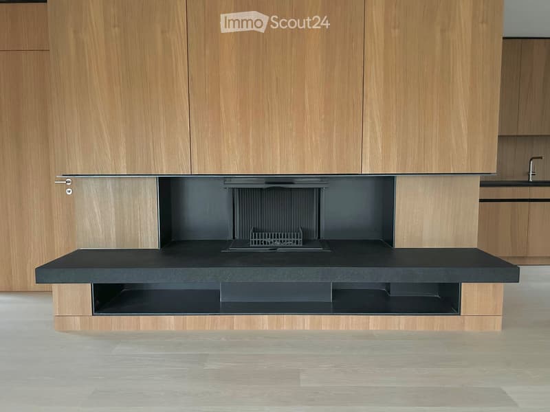 modern fireplace integrated in wooden cabinetry