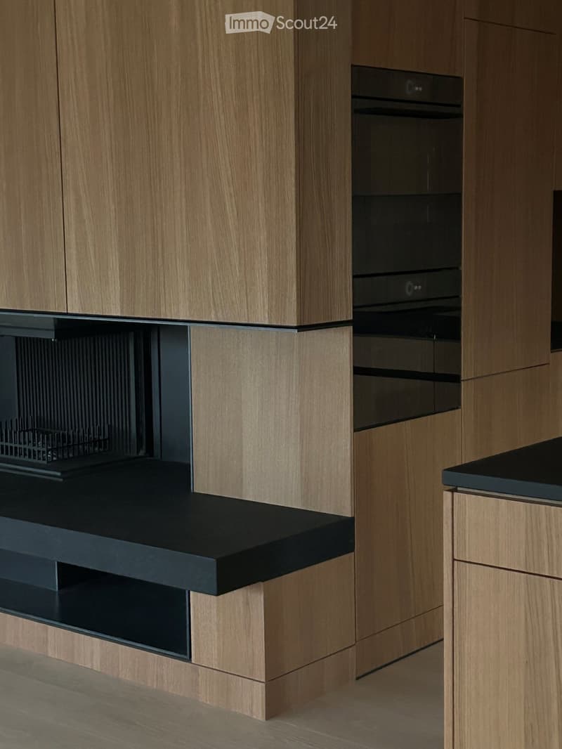 modern kitchen, wooden cabinets, black countertops, integrated oven, built-in fireplace