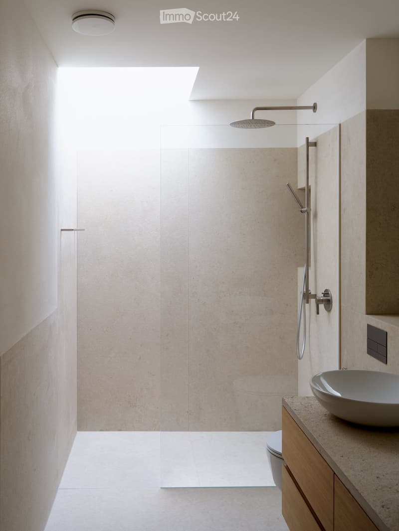 Modern bathroom with a large, open shower area featuring a glass enclosure, a sleek sink with a wooden cabinet, and a toilet. The space is illuminated by natural light from a skylight.