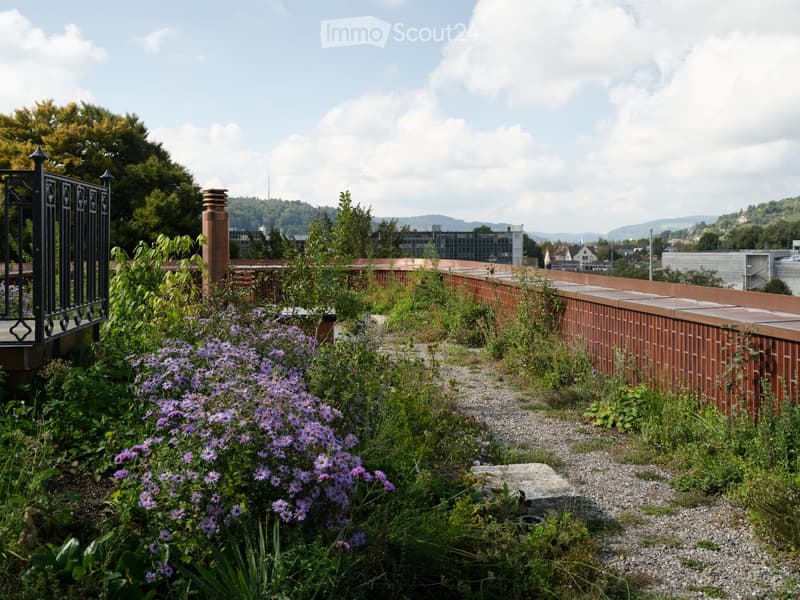 A rooftop garden with purple flowers, gravel pathways, and a brick wall, overlooking a cityscape with buildings and trees.
