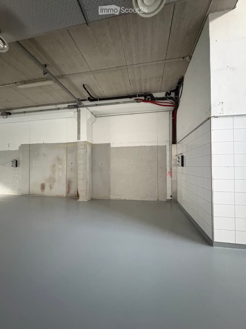 Modern industrial space in Losone - Via Zandone (15)