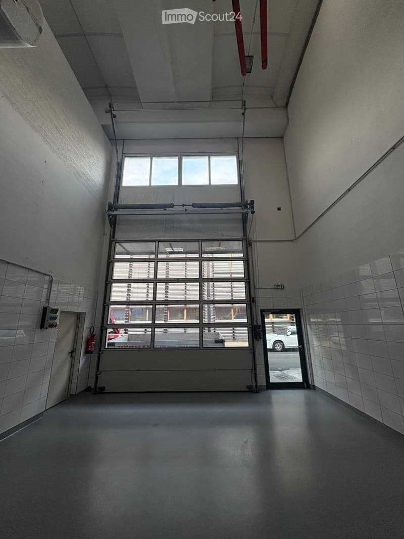 Modern industrial space in Losone - Via Zandone (19)