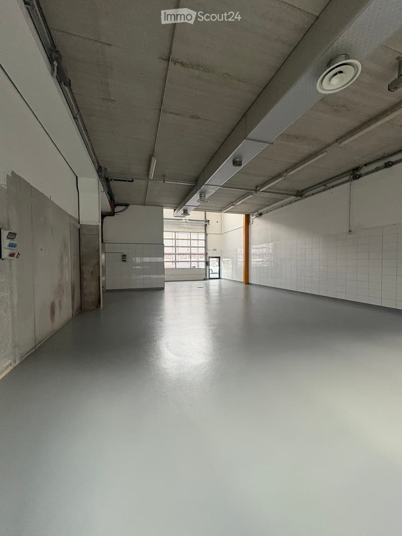 Modern industrial space in Losone - Via Zandone (17)