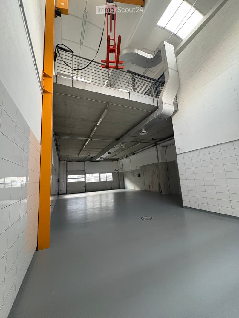 Modern industrial space in Losone - Via Zandone (20)