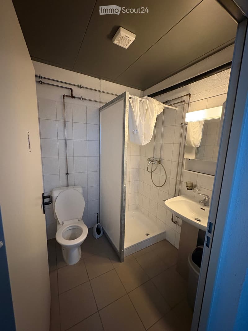 Small bathroom with toilet, shower, sink, and mirror