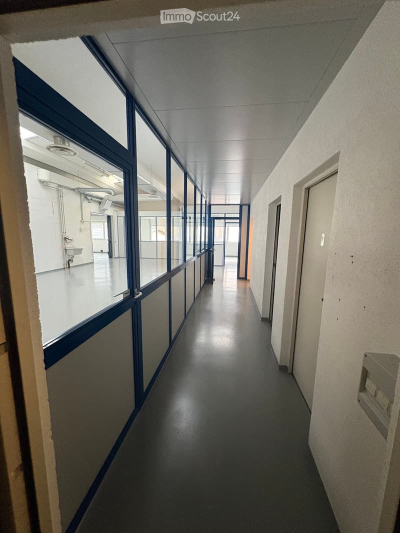 Empty hallway with white walls, gray floor, blue framed glass windows, ceiling lights, and doors on both sides.