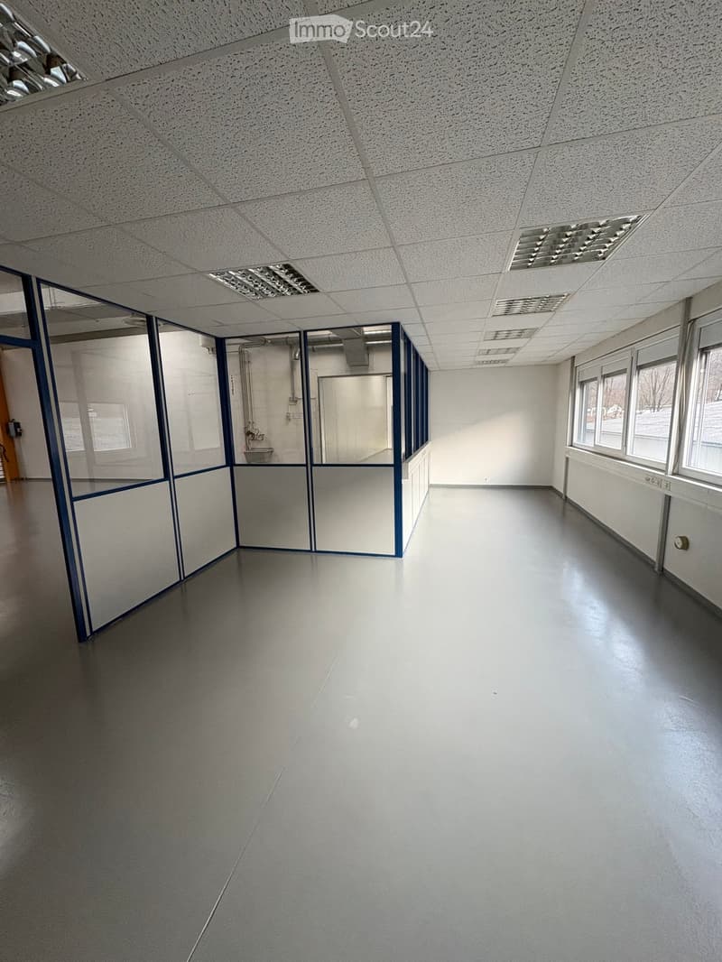 Empty room with white walls, gray floor, glass partitions, and windows