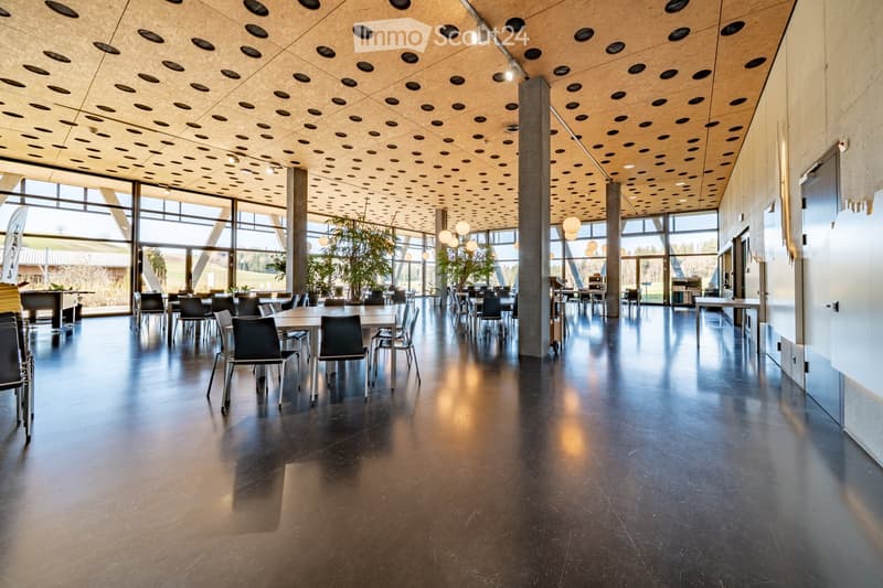 modern dining area with large windows, tables and chairs, wooden ceiling with holes, plants