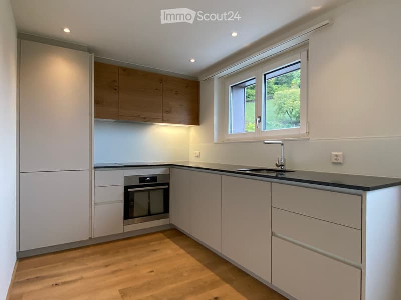 modern kitchen with white cabinets, wooden floor, black countertop, stainless steel sink, oven, dishwasher, window with view