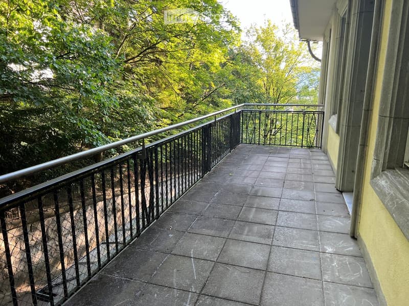 tiled floor, black railing, metal fence, trees in the background