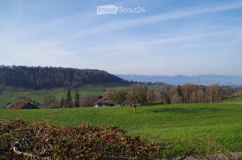 green field, house, trees, mountains in the background