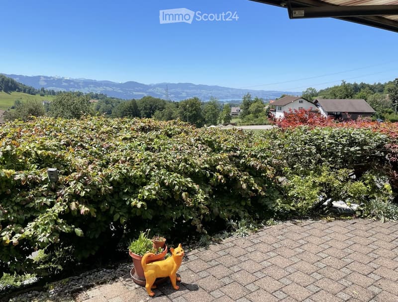 brick paved patio, hedge, potted plants, decorative cat, scenic view