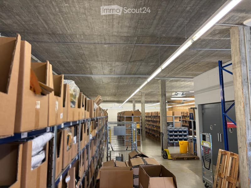 Warehouse with concrete ceiling, metal shelves, storage boxes, trolleys, and a yellow bucket.