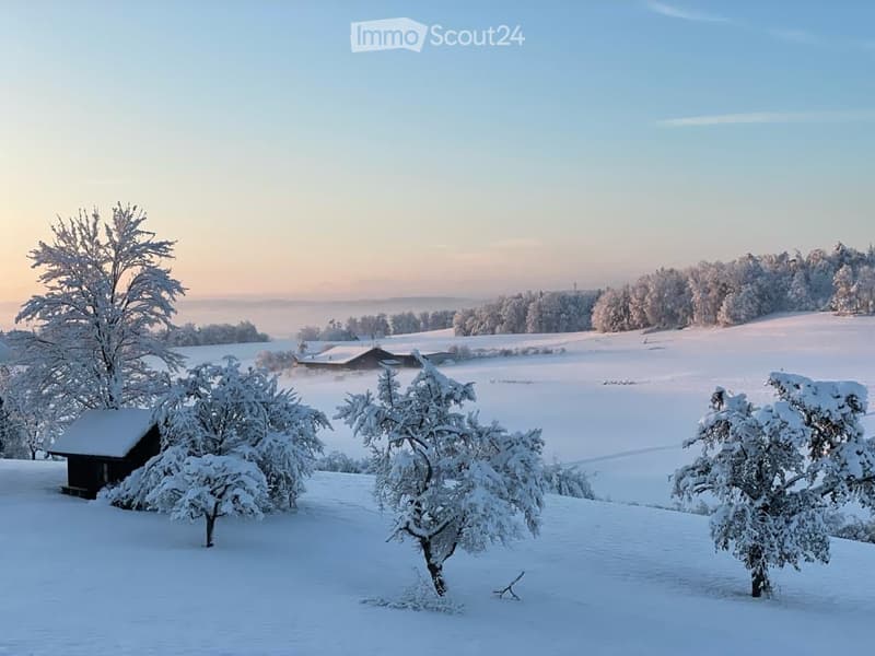 Casa a schiera ristrutturata a Birchwil in una posizione tranquilla con vista panoramica (14)
