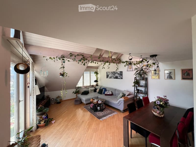 open living room with wooden floor, gray sofa, coffee table, dining table, chairs, plants, hanging plants, lamps, picture frames, TV, shelves, rug