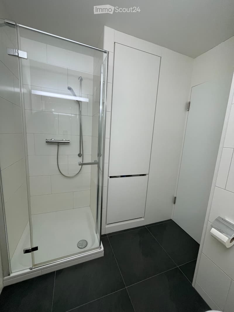 Appartamento 3.5 locali a Flims Waldhaus, prima o seconda casa, arredato o non arredato (6)