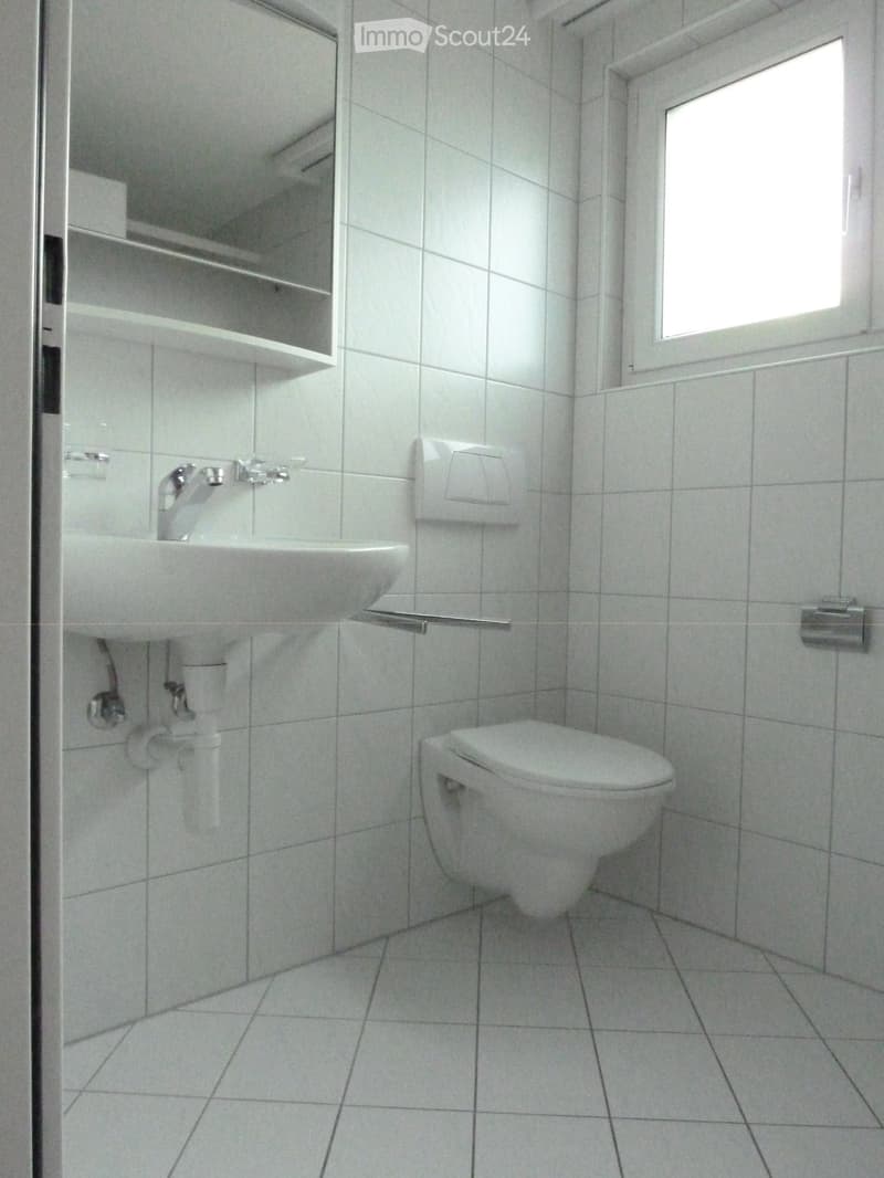Modern bathroom with white tiled walls and floor, featuring a sink with a chrome faucet, a toilet, a mirror with shelves, and a toilet paper holder.
