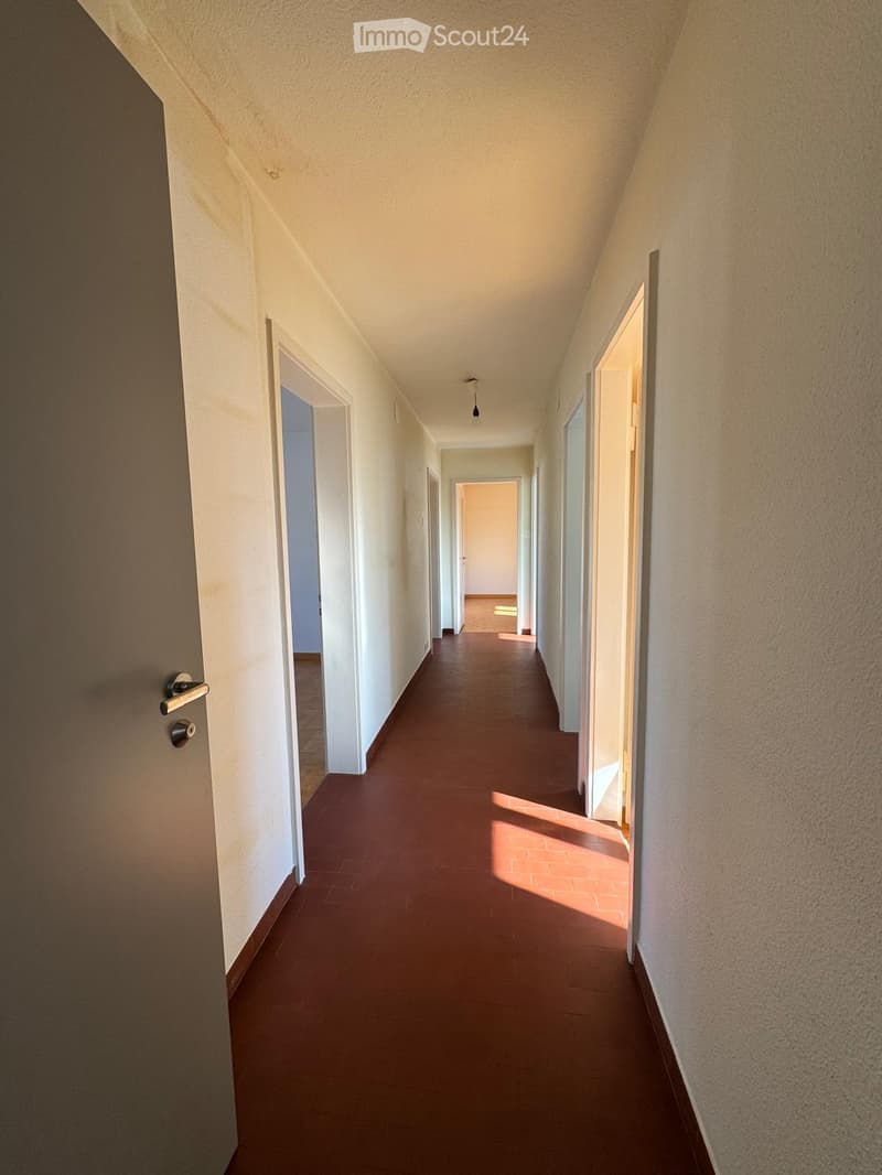 Empty hallway with white walls, brown tiled floor, and doors on both sides.