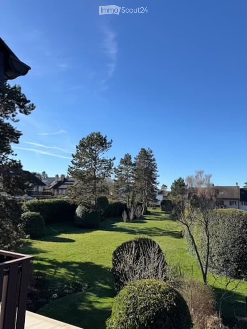 large green lawn, bushes, trees, houses in the background