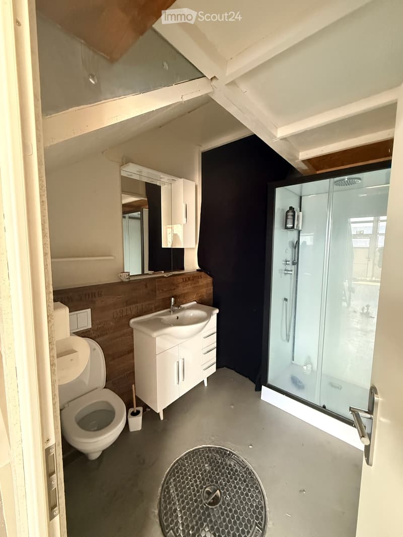 Modern bathroom with a toilet, sink, mirror, and glass-enclosed shower. Features a white vanity cabinet, a dark accent wall, and a hexagonal floor drain.