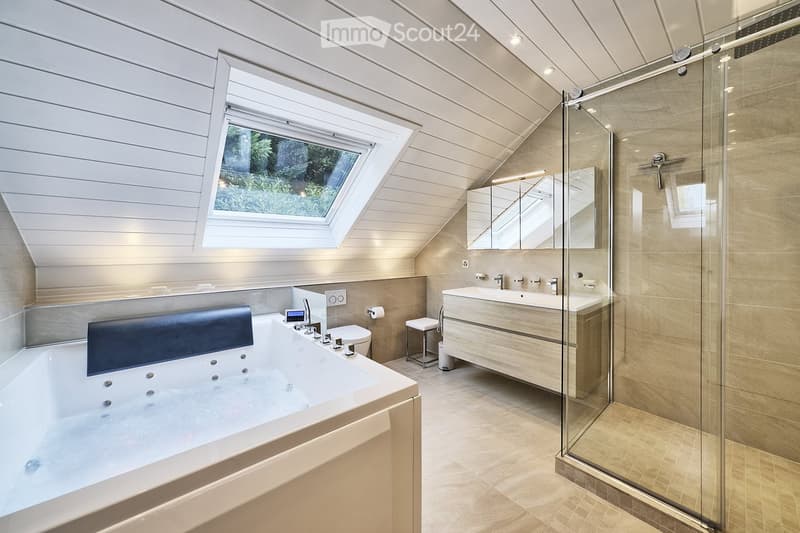 large bathtub, glass shower, vanity with sink, mirror, skylight, toilet, toilet paper holder
