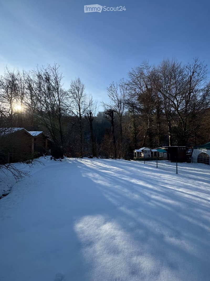 4.5-room row house with "forest access" in Villmergen (4)