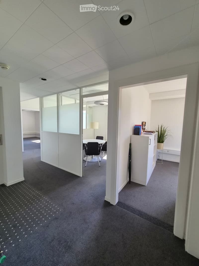 Office space with grey carpet, white walls, a round table with chairs, a cabinet with books and a plant, and glass partitions.