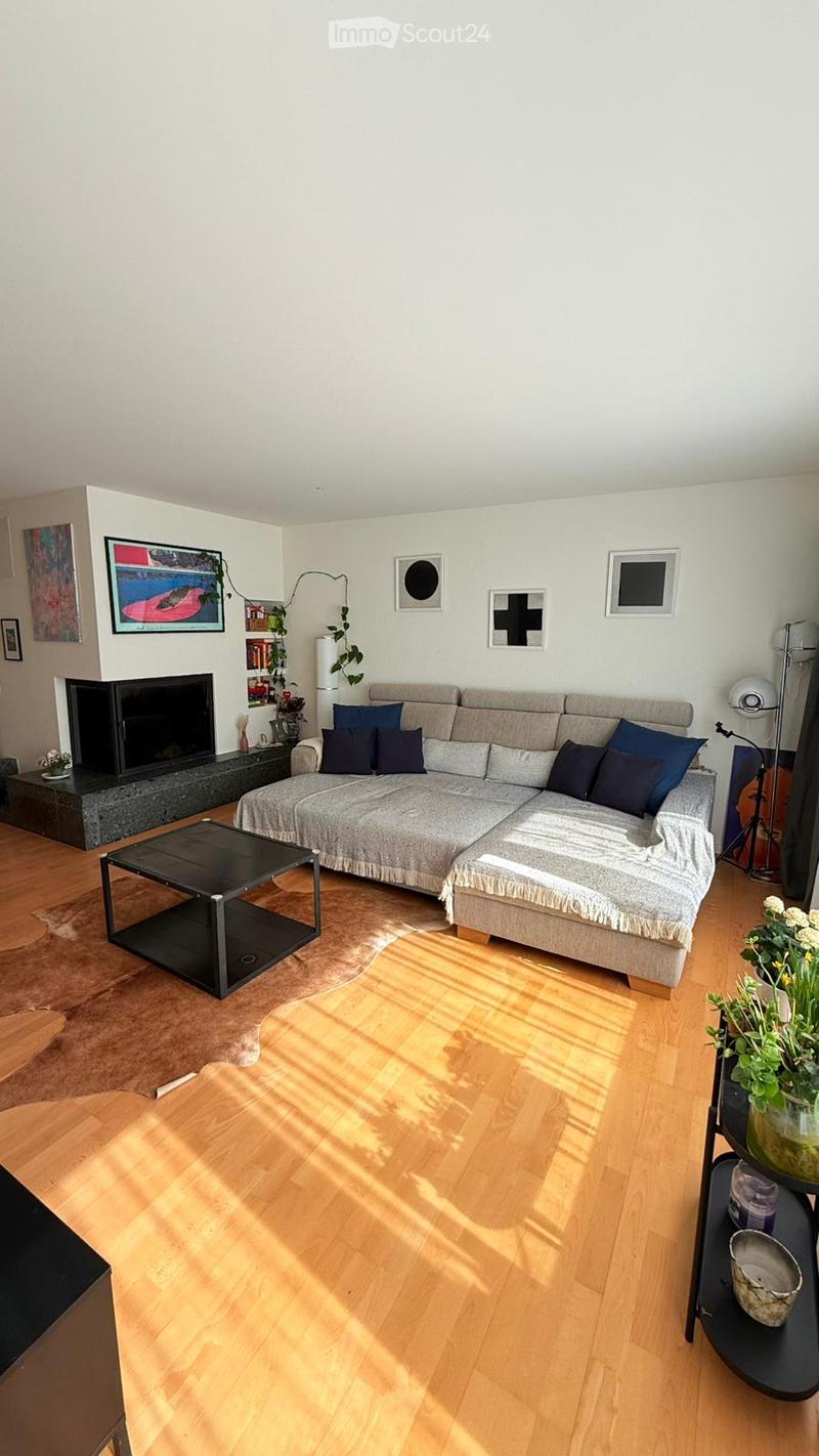 modern living room, fireplace, large sofa, coffee table, wooden floor, wall art, plants